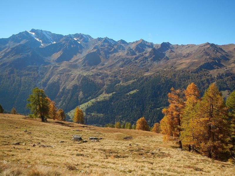 20141009_133721.JPG - 9.10. Wanderung von Alpage Mandelon zur Alpage Vednes hoch über den Val d'Hérenes