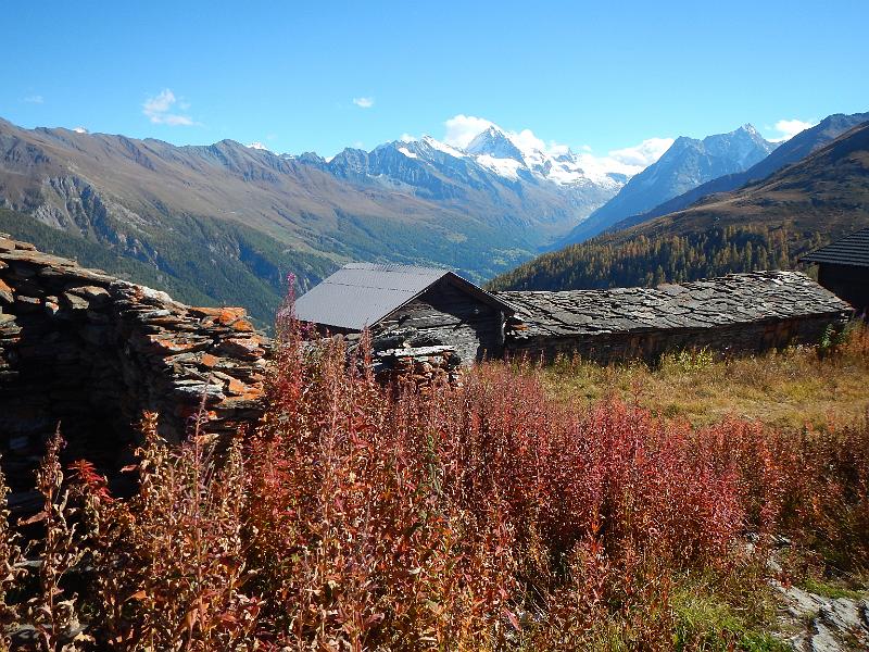 20141009_142428.JPG - 9.10. Alpage Vednes hoch über den Val d'Hérenes mit Aussicht auf dente Blanche und MAtterhorn