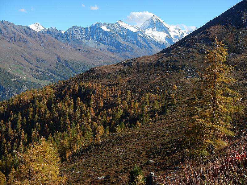 20141009_150148.JPG