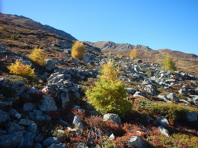 20141009_150716.JPG