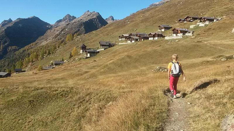20141018_104140.jpg - 18.10 Wanderung auf dem Lötschentaler Höhenweg von Lauchernalp über Kummenalp, Faldumaalp und Feselalp nach Jeizinnen