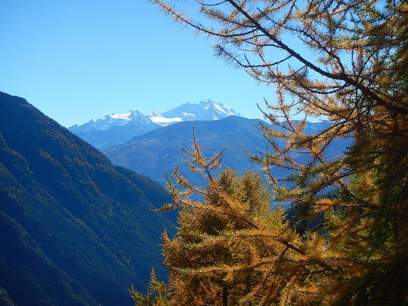 20141018_132502.JPG - 18.10 Wanderung auf dem Lötschentaler Höhenweg von Lauchernalp über Kummenalp, Faldumaalp und Feselalp nach Jeizinnen