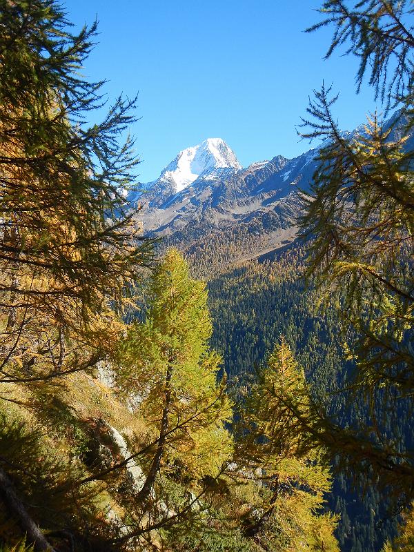 20141018_132533.JPG - 18.10 Wanderung auf dem Lötschentaler Höhenweg von Lauchernalp über Kummenalp, Faldumaalp und Feselalp nach Jeizinnen