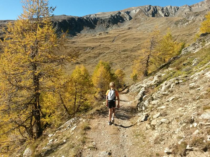 20141018_145648.jpg - 18.10. Obere Feselalp ob Jeizinnen
