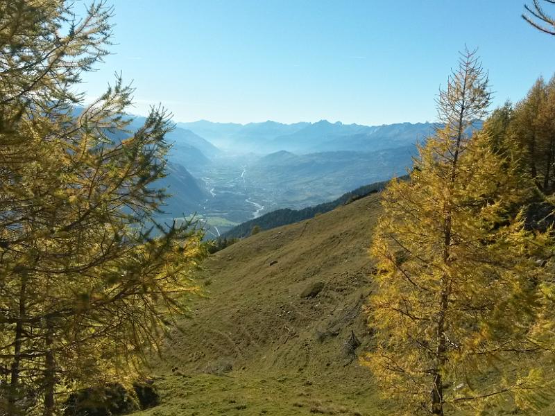 20141018_155446.jpg