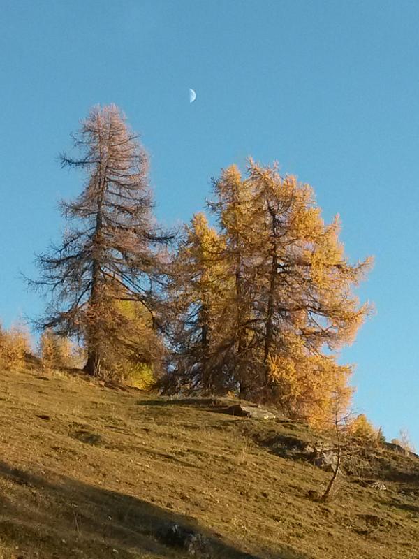 20141030_164223.jpg - 29.10. Abendstimmung bei Pralovin oberhlab Vernamiege