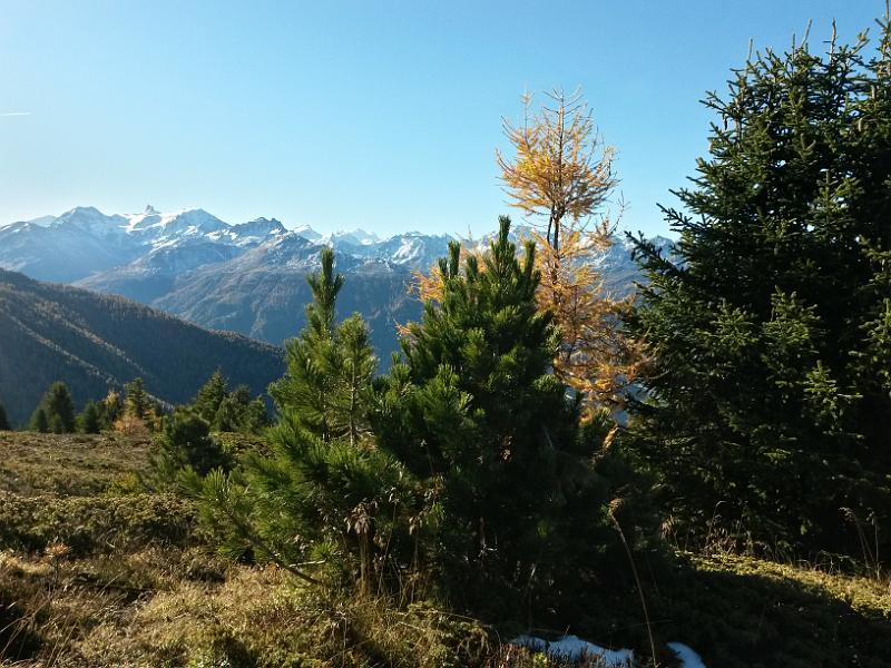 20141031_103618.jpg - 30.10. mit Bike vom Chalet nach Pralovin und dann Lauf auf Mont Noble