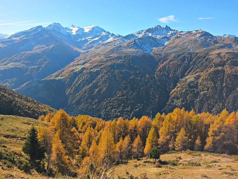 20141101_112846.jpg - 1.11. Wanderung oberhalb Eison im herbstlichen Val d'Hérens