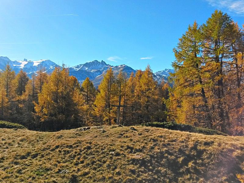 20141101_114633.jpg - 1.11. Wanderung oberhalb Eison im herbstlichen Val d'Hérens