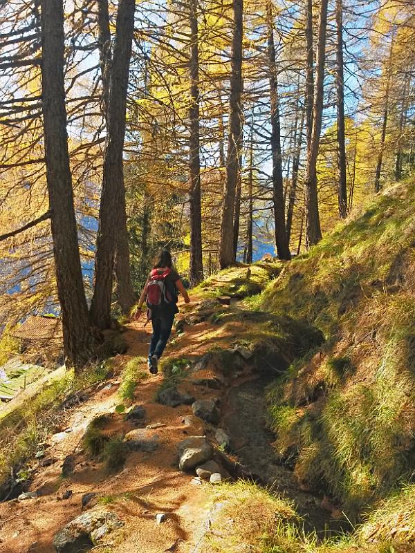 20141101_141821.jpg - 1.11. Wanderung oberhalb Eison im herbstlichen Val d'Hérens