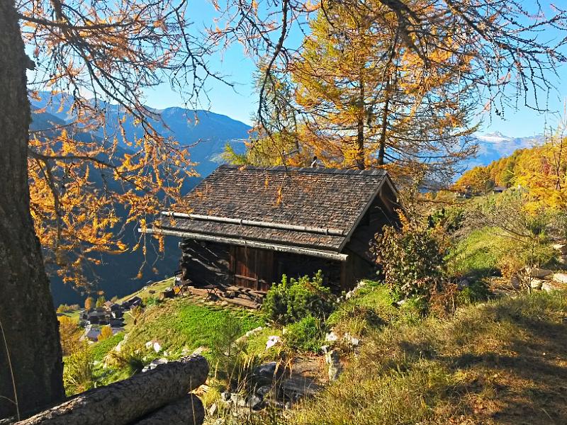 20141101_144836.jpg - 1.11. Wanderung oberhalb Eison im herbstlichen Val d'Hérens