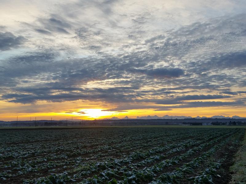 20141213_081704.jpg - 13.12. wunderschöner Sonnenaufgang in Aegerten