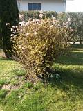 20140308_12.18.42