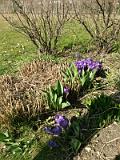 20140308_12.56.31