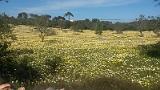 20140406_152106