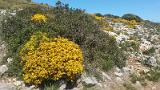 20140409_133926