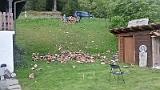 20140529_095916