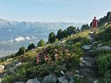 20140725_090903