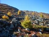20141009_150716