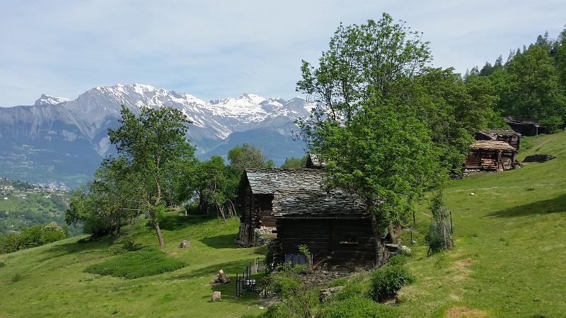 20150514_110034.jpg