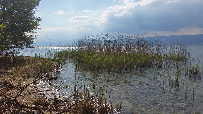 20150524_170409.jpg