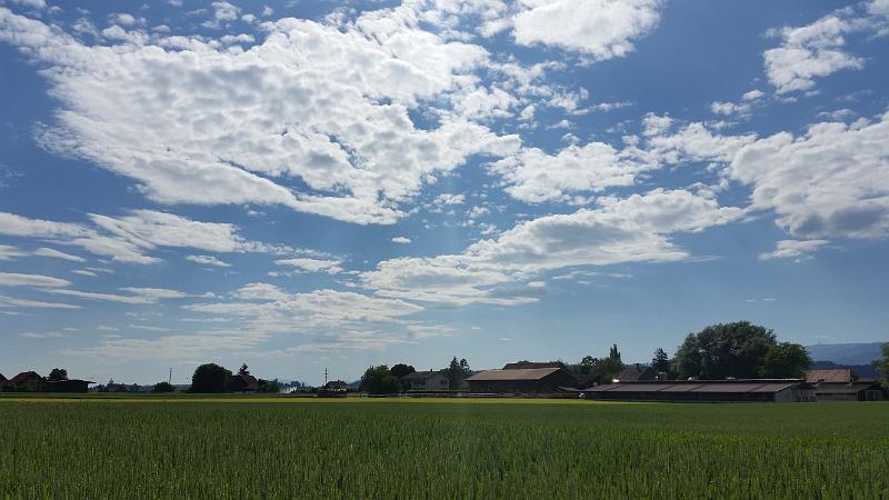 20150603_170410.jpg