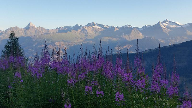 20150731_064745.jpg - JKJK'«\í�~ó������N����·k������Í�����æ�é��0·����#6�Íµ����a6�«£�Ðrÿÿ
éÿÿ ÁÿÿE�ÏùÿÿÅ��ÝEÿÿ^µ�������������������������������������������������"�"�"�"�"�"�"�"�"�"�"�"�"�"�"�"�"�������"�"�"���"�"��"��"�"�"�"�"�"�"�"�"���"�"�"�"���"�"�"�"�����"�"�"�������"�"������"�"�����������������������������"��������������"�"���"���������������"�"�"����"��"�"���"�����"�"����������"�"�"�"�"�"���������������"w�"w����"w�"�"�����"�"�"������"w�"w��������"w�"w��"�"�"w�"w�"w�"�"�"w�����������"�"w�"w�"w����"w�"w�"w�"w�"w��´¢����K@�wÊ���Ç&�������������������������������������������������>
���g�É����t4�ã����Y�������������2·�ýÿ��6�+·�ýÿ��6�+·�ýÿ��6�+·�ýÿ��6�+·�ýÿ��6��������������Ö�zJ����R�������������������FAFA��´�0�h�¤��FAFAe�������u%PÁO������u%PÁOi�ø¬�6u%PÁO\�â�4u%PÁO������u%PÁO������u%PÁOR�6²�.u%PÁO\�ìº�.u%PÁOd�rË�5u%PÁOl�çÆ�5u%PÁOt�|�1u%PÁO|�Ý�(u%PÁO������������h�ê�8u%PÁOh�ê�8u%PÁOh�ê�8u%PÁO������������h�ê�8u%PÁOh�ê�8u%PÁOh�ê�8u%PÁOFAFA��Z\���×����f�ðÓ|���T�����Flh���(�������Í������������������3����������������ZP����������i����������������������m�h�ÿFAFA��������������������������������������®®®®F��Í�������������»���L��b��������������������������������������������������������������������������O��¡S�������������<������������������������������������������������������������`���������������������Ü������������������(���ß���������������w��Í��Á�����������������������������������p���s���������^���|������������B���/��ñ������/��p�������«�����P02011165F16QLGB00VB51FFEFDDFA4