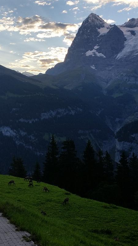 20150823_071243.jpg - JKJK'«\í�~ó������N����·k������Á������]��¦����tY�\¤����Y�8�'{ÿÿ¡ìÿÿÔÁÿÿÃ=�i���°��ÛCÿÿu¶���"�"�"�����������2w�"w���"�"�"����������"w�2w�2w�"�"��"������"�"���"w�2w�2w�"���"��"���������"w�2w�2w���"�"�"�"���������2w�2w�2w�"�"�"�"�"���������2w�2w�2w�"�"�"�"�"���������2w�2w�2w������"�"�"�������"w�2w�2w�2w�"��0�p���"�"�������2w�2w�2w�2w�"����`�����"�������2w�2w�2w�2w�"����@"�`���"�������2w�2w�2w�2w�"�P3��P3�Q3�"�������2w�2w�2w�2w�"�P3��@"�A"�"�������2w�2w�2w��"�P3��0�A"�"�"�����"w�2w�2w�2w��"�0�"�"�@"�������"w�2w�2w�!"���"�@"�"�"���"�����"w�2w�2w�����õÿ��W�²���.A�Z���7s�������������������������������������µ
����ïf�3£�þÿ��)±����d�������������ö¥�êÿ��KY�Ý¥�êÿ��VY�Ý¥�êÿ��VY�Ý¥�êÿ��VY�Ý¥�êÿ��VY�������������ð\�À'����&�������������������FAFA��´�0�b�h��FAFAe�������£%Â������£%Â������£%Â������£%ÂR�eX�£%Â\�ó¿�£%Âd�w¡�£%Âl�0ñ�£%Ât�Jþ�£%Â|�p6�£%Â������������b�Û2�£%Âb�Û2�£%Âb�Û2�£%Â������������b�Û2�£%Âb�Û2�£%Âb�Û2�£%Âb�Û2�£%Âb�Û2�£%ÂFAFA��Z\���×����f�Ó|���T�����Flb���(�������Á������������������3����������������ZP����������c����������������������j�ä�b�ÿFAFA��������������������������������������®®®®F��Á�������������»�����d��������������������������������������������������������������������������J��ÿ����������������������������������������������������������������������������������������������L�����������������(���^��������������~��Á��¦�����������������������������������v���s���ùÿÿÿ���^���|������������*���������'����·�����Q��n������P02011165F16QLGB00VB51FFEFDDFA4