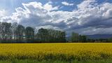 20150506_165012