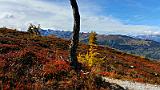 20151002_121418
