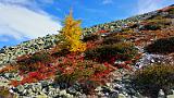 20151002_122521