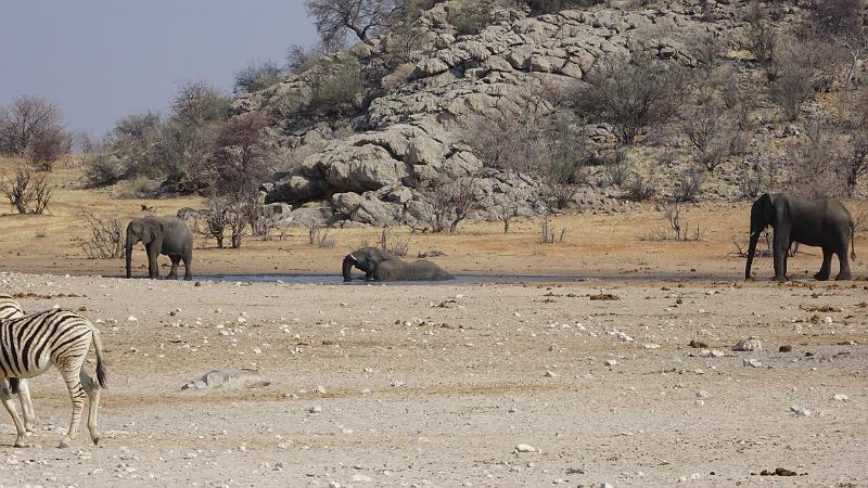 20160924_160645.JPG - 24.9. Dolmietpunt Waterhole, Etosha NP