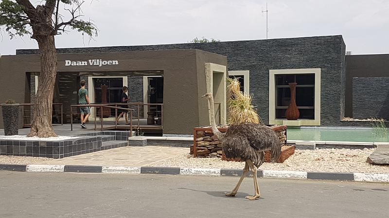 20161014_141501.jpg - 14.10. Strauss in Daan Viljoen GR bei Windhoek