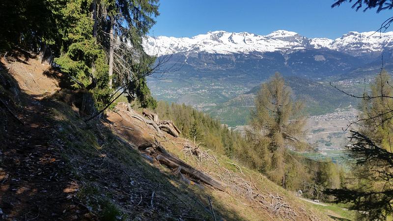 20160505_105629.jpg - 5.5. Lauftraining in Nax VS