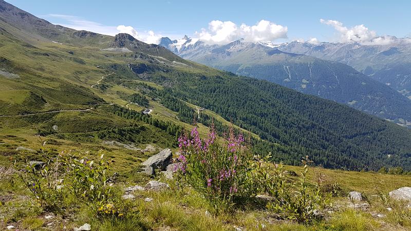 20170715_110600.jpg