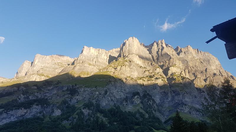 20170805_071335.jpg