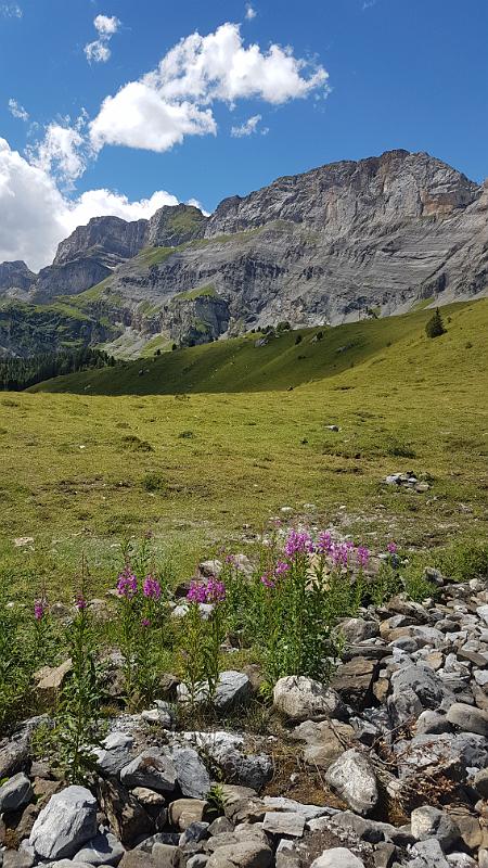 20170805_131645.jpg