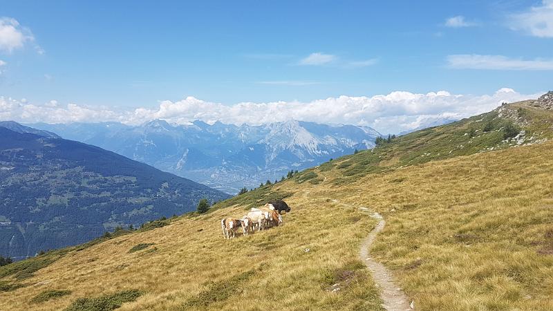 20170814_125114.jpg