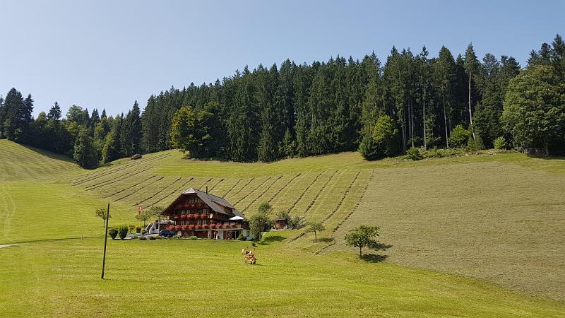 20170826_142222.jpg