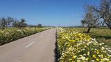 20170417_123603
