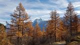 20171021_113612