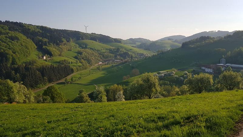 20180422_081050.jpg