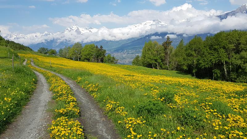 20180509_100934.jpg