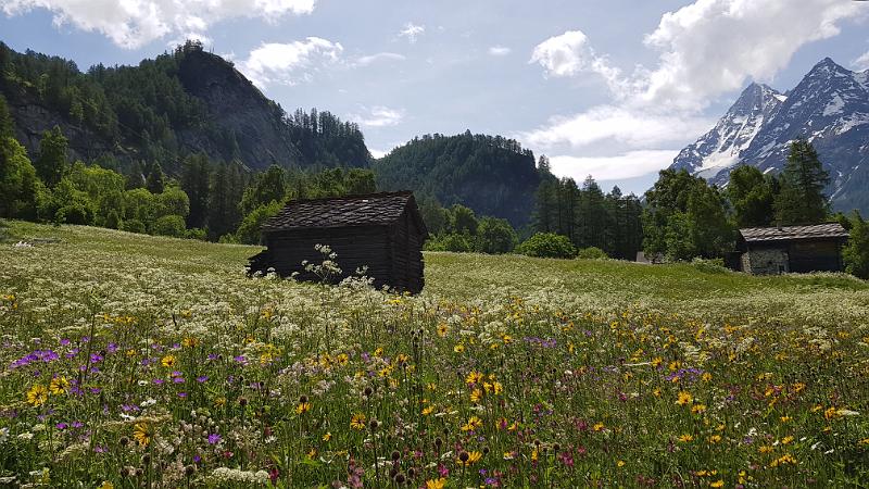 20180603_114051.jpg