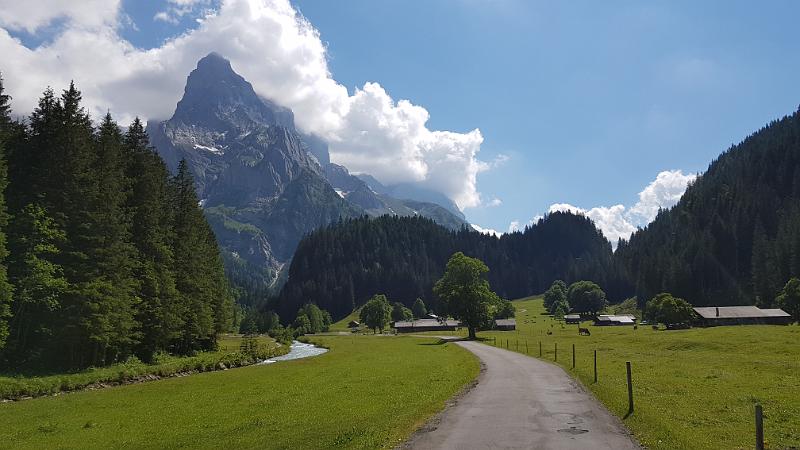 20180627_160532.jpg
