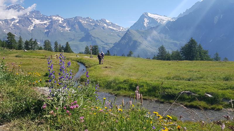 20180710_094758.jpg