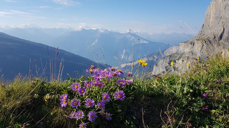 20180731_084530.jpg