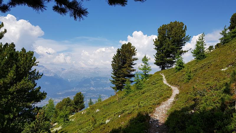 20180804_143757.jpg