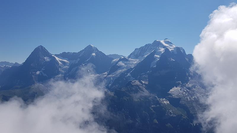 20180819_105227.jpg