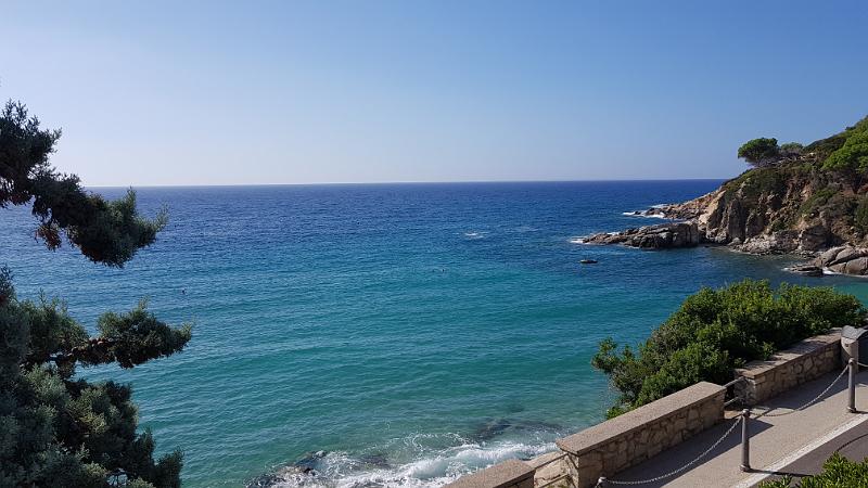 20180924_104853.jpg